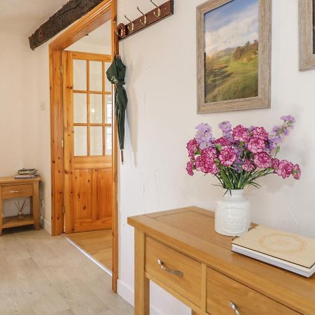 Cyffdy Cottage - Tegid Bala Buitenkant foto