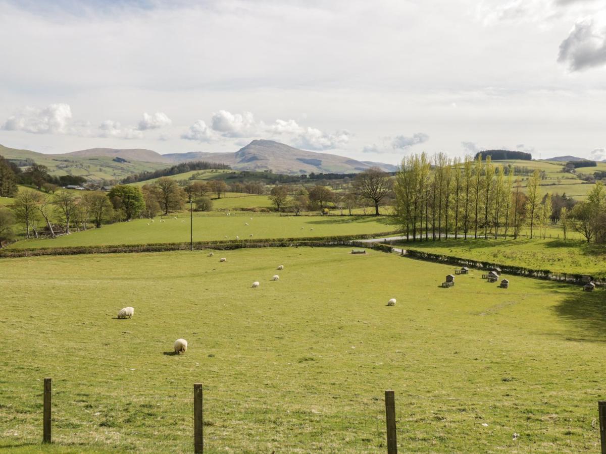 Cyffdy Cottage - Tegid Bala Buitenkant foto